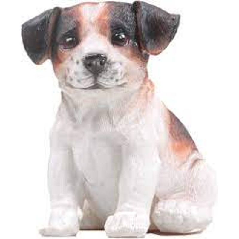 Foto van Sid - puppie jack russel l12b15h17cm