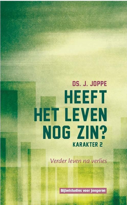 Foto van Heeft het nog zin? - j.j. joppe - paperback (9789462785960)