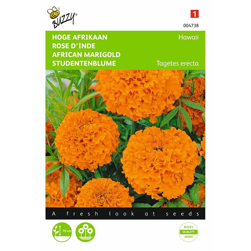 Foto van 2 stuks tagetes erecta hawaii fl.pl. oranje