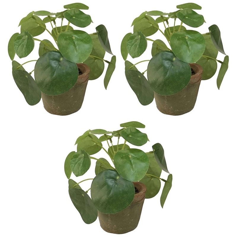 Foto van 3x kunstplanten pilea groen in pot 13 cm - kunstplanten