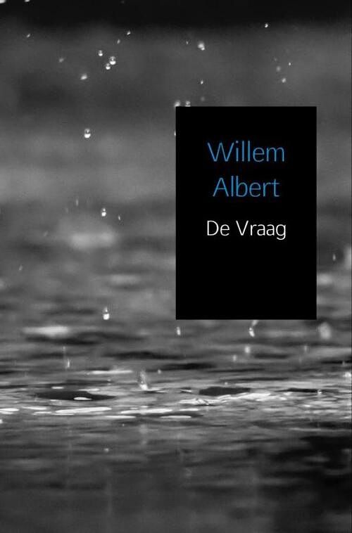 Foto van De vraag - willem albert - ebook (9789402163612)