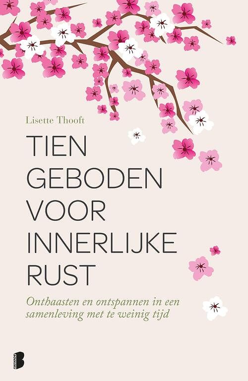 Foto van Tien geboden voor innerlijke rust - lisette thooft - ebook (9789460926938)