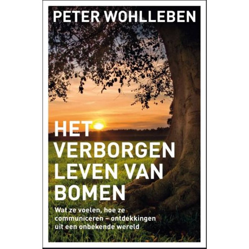 Foto van Het verborgen leven van bomen