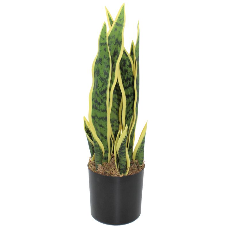 Foto van Sansevieria kunstplant 50cm