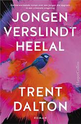 Foto van Jongen verslindt heelal - trent dalton - ebook (9789402757781)