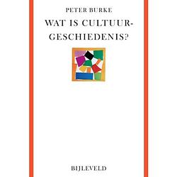 Foto van Wat is cultuurgeschiedenis?