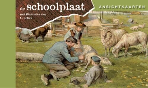 Foto van Ansichtkaarten, de schoolplaat het volle leven - pakket (9789079758197)