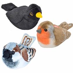 Foto van Set van 3x stuks pluche vogels knuffels van 14 cm met geluid - vogel knuffels