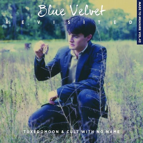 Foto van Blue velvet revisted - cd (0876623007371)