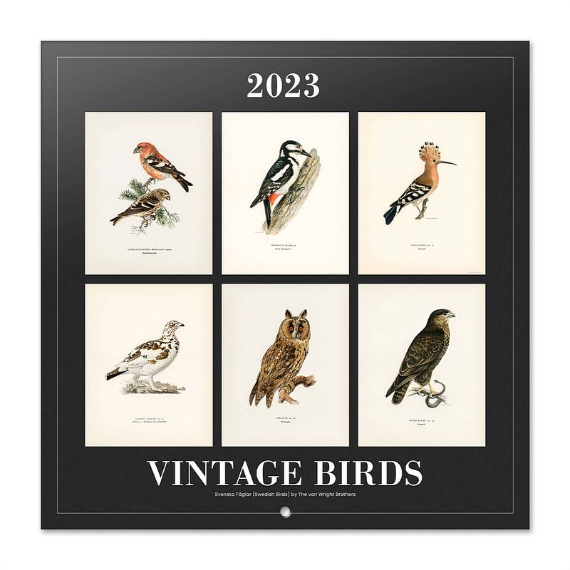 Foto van Vintage birds kalender 2023