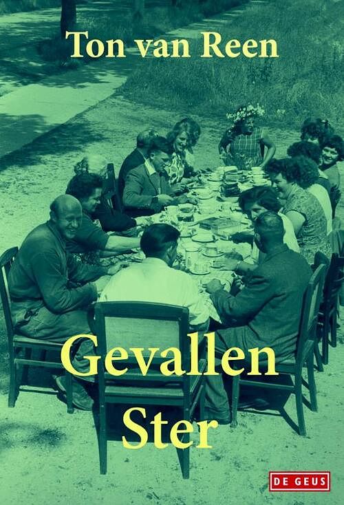 Foto van Gevallen ster - ton van reen - ebook (9789044533354)