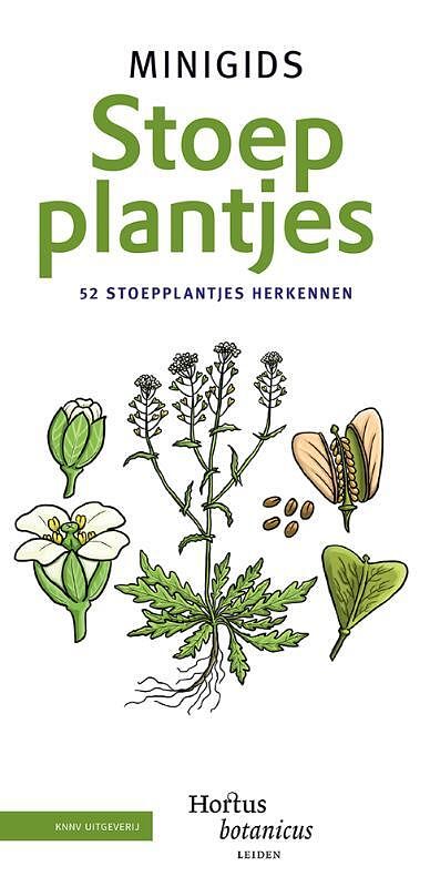 Foto van Set minigids stoepplantjes - hortus botanicus leiden - pakket (9789050117821)