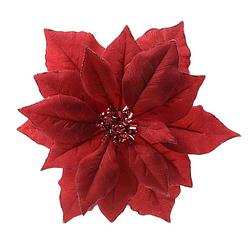 Foto van 1x stuks decoratie bloemen kerstster rood glitter op clip 24 cm - kersthangers