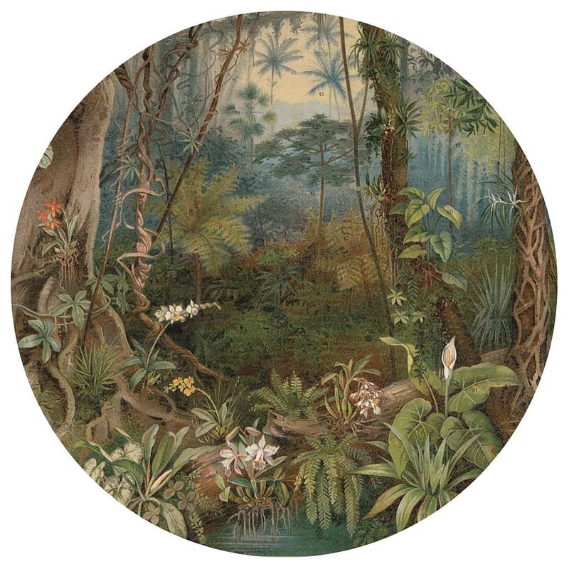 Foto van Wallart behangcirkel in the jungle 142,5 cm