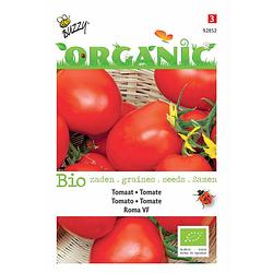Foto van 5 stuks organic tomaat roma tuinplus