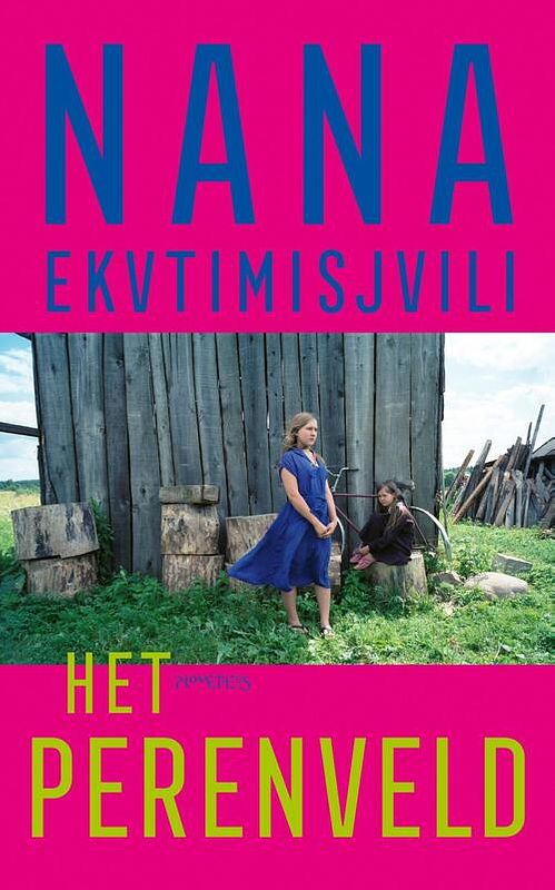 Foto van Het perenveld - nana ekvtimishvili - ebook (9789044641578)