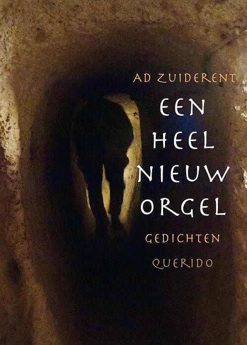 Foto van Een heel nieuw orgel - ad zuiderent - ebook (9789021400785)