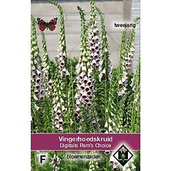 Foto van 5 stuks digitalis purpurea pam s choice