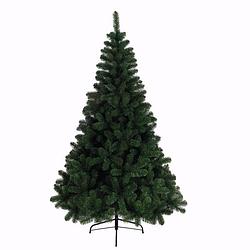 Foto van Kerstboom imperial pine 180cm groen kerstartikelen