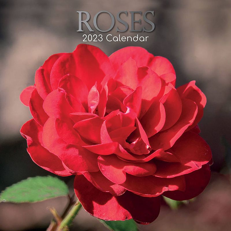 Foto van Rozen - roses kalender 2023