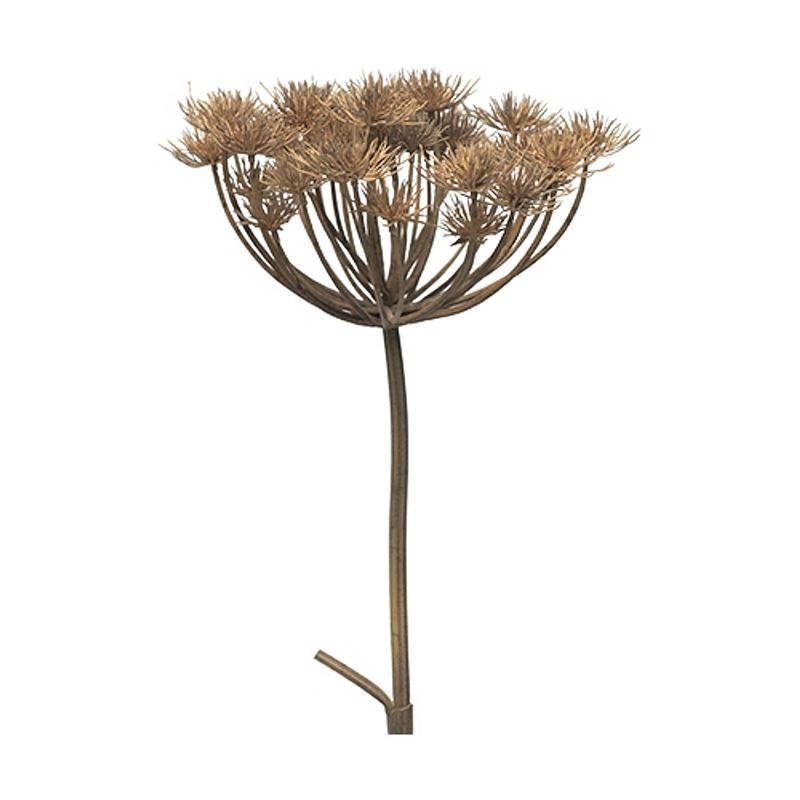 Foto van Nova nature - heracleum grey/brown 98 cm kunstbloem