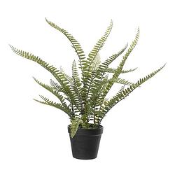 Foto van Varen nephrolepis - kunstplant - groen - 50 cm - kunstplanten