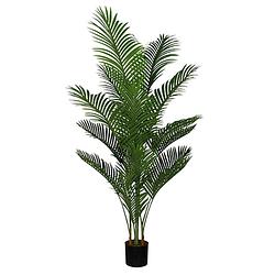 Foto van Areca palm 165 cm