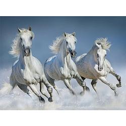 Foto van Dieren magneet 3d witte paarden - magneten