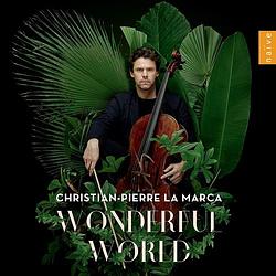 Foto van Wonderful world - cd (3700187673628)