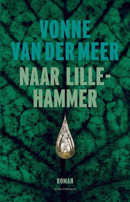 Foto van Naar lillehammer - vonne van der meer - ebook (9789025470609)