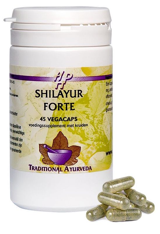 Foto van Holisan shilayur forte capsules