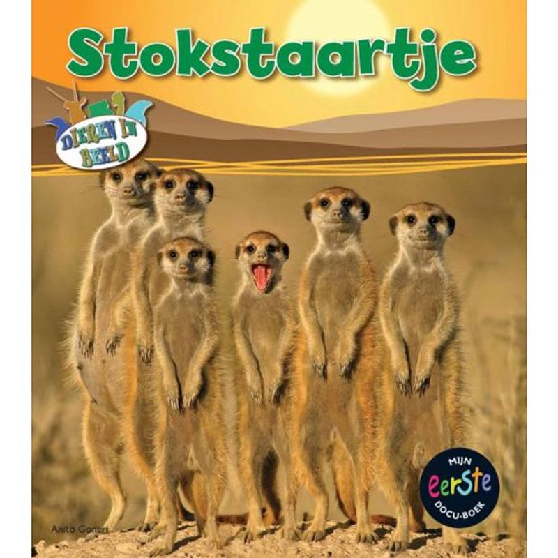 Foto van Stokstaartje - dieren in beeld