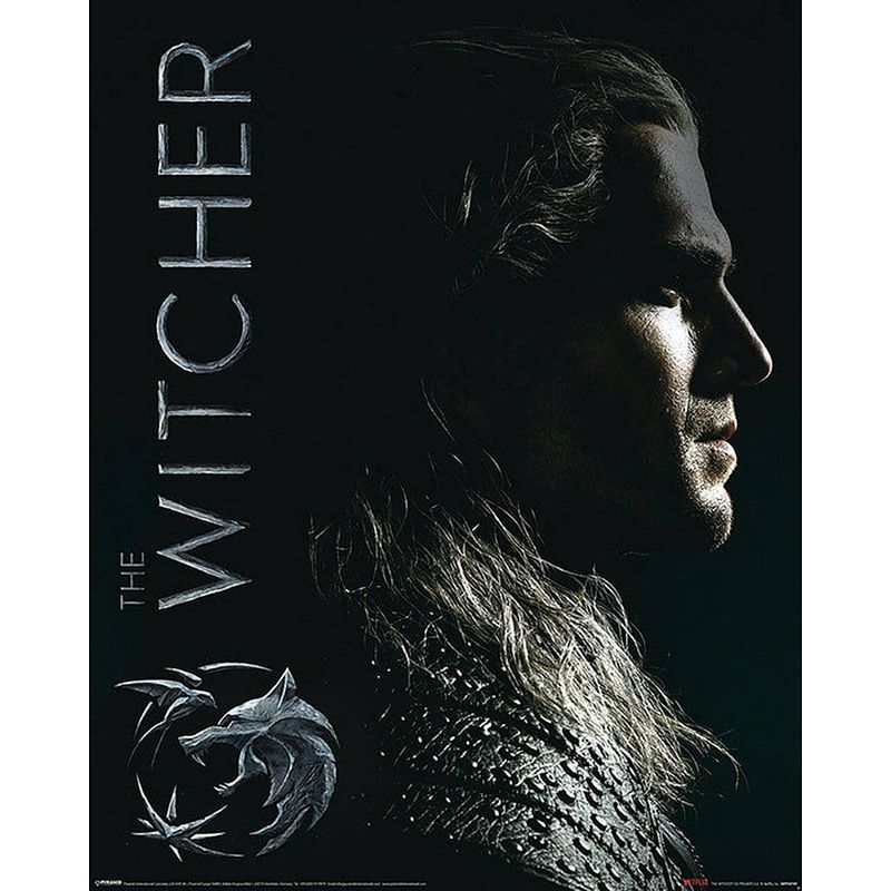 Foto van Pyramid the witcher shadows embrace poster 40x50cm