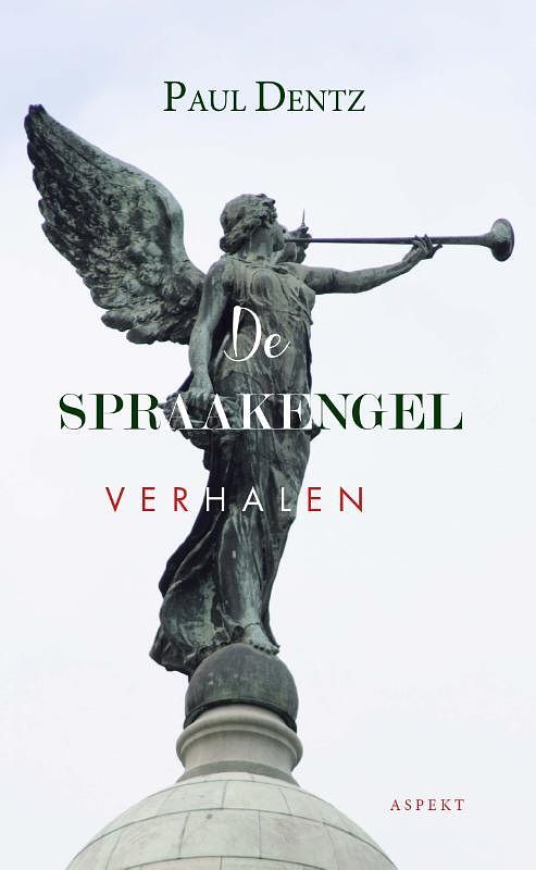 Foto van De spraakengel - paul dentz - paperback (9789464249316)