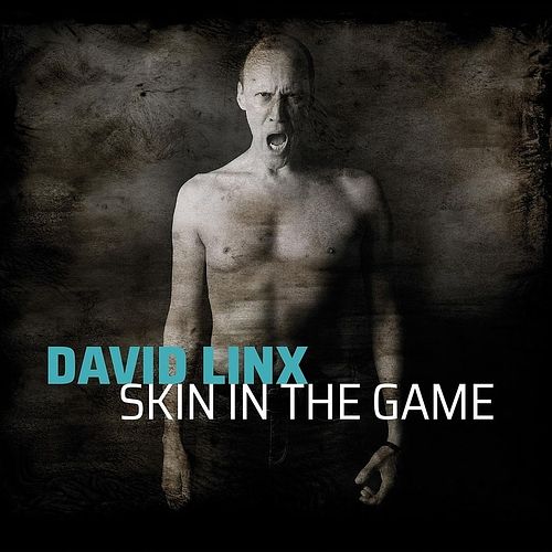 Foto van Skin in the game - cd (0194397095029)