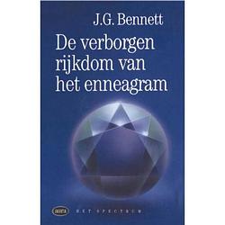 Foto van Verborgen rijkdom van het enneagram - vantoen.nu