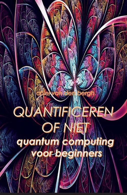 Foto van Quantificeren of niet - chiel van den bergh - paperback (9789464432091)