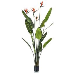 Foto van Emerald kunstplant in pot strelitzia met 4 bloemen 150 cm