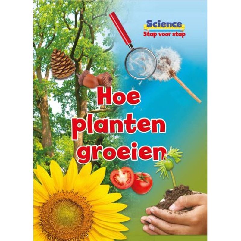 Foto van Hoe planten groeien - science stap voor stap