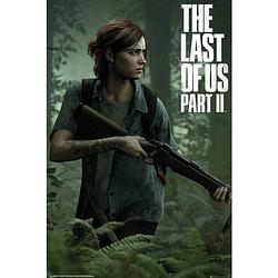 Foto van Gbeye the last of us 2 ellie deco panel 60x90cm