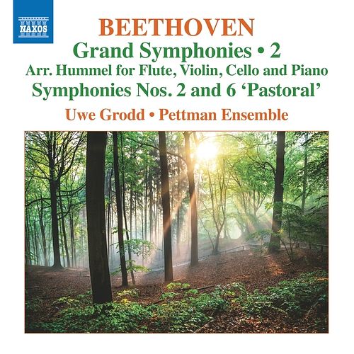 Foto van Grand symphonies, vol. 2 - symphonies nos. 2 and 6 - cd (0747313420070)