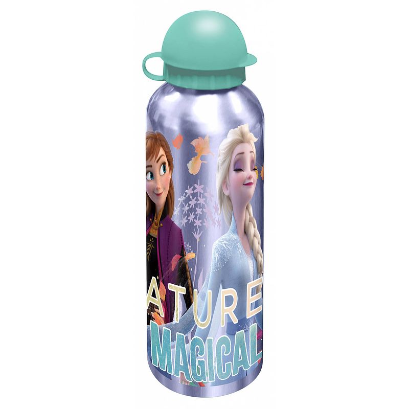 Foto van Disney thermosfles frozen junior 500 ml aluminium paars