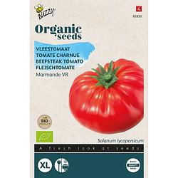 Foto van Buzzy - organic tomaat marmande (bio)