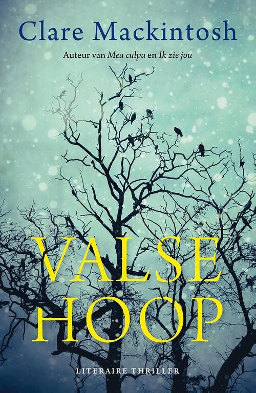 Foto van Valse hoop - clare mackintosh - ebook (9789026146398)