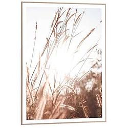Foto van Poster met lijst zonnig gras - 70x50 cm - leen bakker