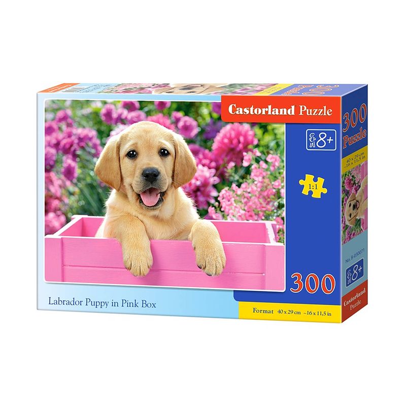 Foto van Castorland legpuzzel labrador puppy in pink box 300 stukjes