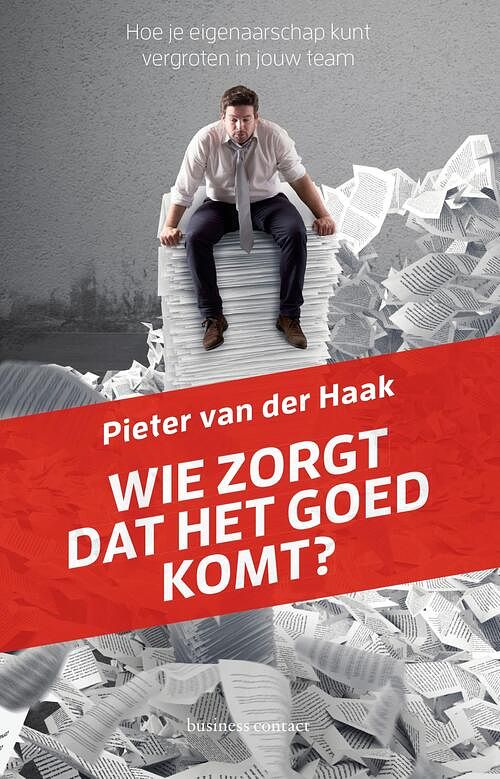 Foto van Wie zorgt dat het goed komt? - pieter van der haak - ebook (9789047011385)