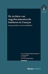 Foto van De rechten van ongedocumenteerde kinderen in curaçao - c.m. sandelowsky-bosman - ebook (9789089746917)