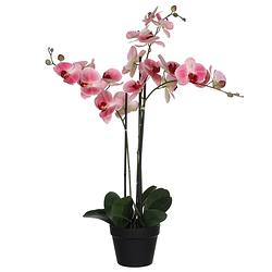 Foto van Mica decorations orchidee bloem kunstplant - roze - h75 x b50 cm - kunstplanten