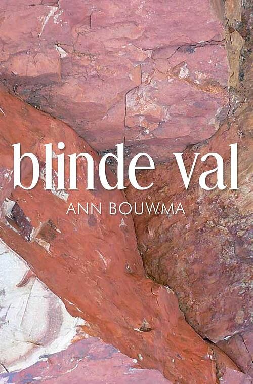 Foto van Blinde val - ann bouwma - ebook (9789464355888)